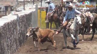 lienzo Charro Jose Beremun Huejuquillita [upl. by Yrol]