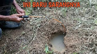 SARANG IKAN LEMBAT BESAR DI LUBANG PURBA [upl. by Hestia125]