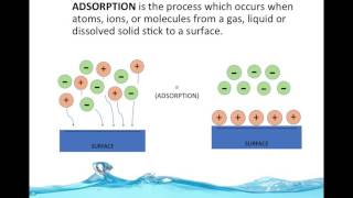 Water Purifciation By Adsorption ENGS102P [upl. by Bathsheba855]