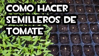 Como hacer Semilleros de Tomate  Muy fácil 🍅 [upl. by Eelirol101]