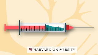 Live Attenuated Influenza Vaccine LAIV [upl. by Wilhide88]