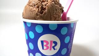 BaskinRobbins NEW NonDairy Ice Cream Flavors [upl. by Peers]