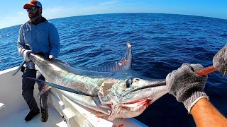 Pesca de Marlin Rayado en Mazatlán 100 lbs [upl. by Kimberly441]