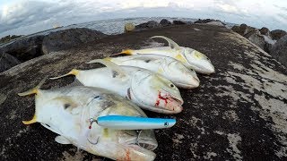 Fish CANNOT Resist This LURE Jetty Fishing Florida [upl. by Olnton]