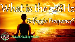 528 Hz Known as the Love Frequency 💞 What is the Famous 528Hz Solfeggio Healing Frequency [upl. by Angelita591]