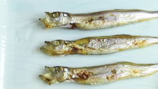 HEAD TO TAIL EATING  GRILLED CAPELIN FISH WITH ROE RECIPE  Cooking with Chef Dai [upl. by Irmine41]