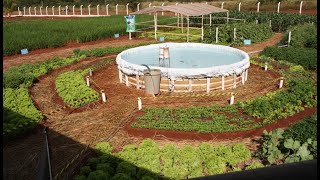 Sisteminha Emprapa  Utilização da água dos peixes para irrigar plantações [upl. by Yhtomit700]