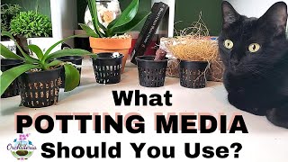 How To Choose The Right Potting Medium for Your Orchid [upl. by Odranoel820]