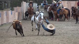 coleadero en el lienzo charro el zacatecano 03202021 [upl. by Bridgette]