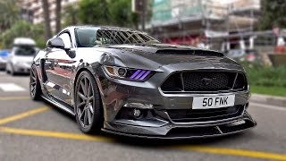 800 HP Sutton CS800 Ford Mustang 50 V8 Supercharged [upl. by Ahsiuqet81]