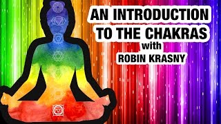 Beginners Guide to Chakras  Everything You Need to Know About Chakras [upl. by Salokkin]