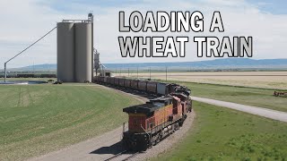 Loading a Shuttle Train at a Montana Grain Elevator  Aerial Reel [upl. by Keeley]