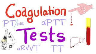 Coagulation Tests  PT aPTT TT Fibrinogen Mixing Studies [upl. by Gibrian228]