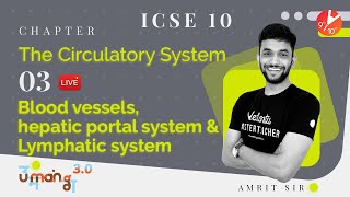 The Circulatory System L3 𝐁𝐥𝐨𝐨𝐝 𝐕𝐞𝐬𝐬𝐞𝐥𝐬 𝐇𝐞𝐩𝐚𝐭𝐢𝐜 𝐏𝐨𝐫𝐭𝐚𝐥 𝐒𝐲𝐬𝐭𝐞𝐦 𝐚𝐧𝐝 𝐋𝐲𝐦𝐩𝐡𝐚𝐭𝐢𝐜 𝐒𝐲𝐬𝐭𝐞𝐦 ICSE 10 Bio [upl. by Yenots542]