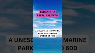 Tubbataha Reefs Palawan [upl. by Alan]