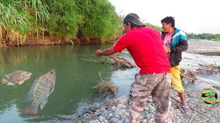 MIRA ASÍ SE PESCAN A LAS TILAPIAS CON ANZUELO  Pesca de Tilapias en Río [upl. by Lieno]