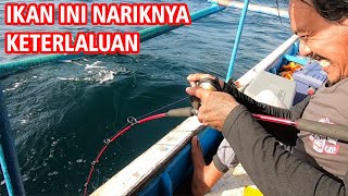 MANCING IKAN BESAR INI TARIKANYA LUAR BIASA [upl. by Mraz688]