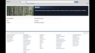 Building a MeSH Search in PubMed [upl. by Lindo]