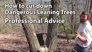 Cutting Down Dangerous Trees  Professional Advice [upl. by Dulcle]