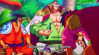 Gol D Roger Wants Oden To Join His Crew And Roger Bowed To Whitebeard  One Piece 966 English Sub [upl. by Eiduam]