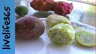 Why Eat Cactus Fruit Prickly Pear [upl. by Surat]