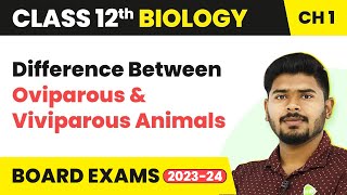 Class 12 Biology Ch1 DB Oviparous amp Viviparous Animals  Reproduction in Organisms 202223 [upl. by Hudson]