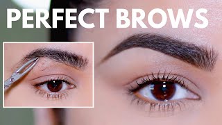 HOW TO GROOM SHAPE amp MAINTAIN EYEBROWS AT HOME BEGINNER FRIENDLY [upl. by Matronna]