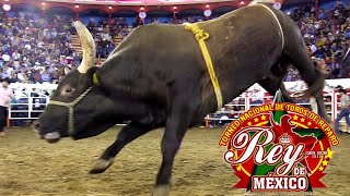 ¡TORNEO REY DE MÉXICO 2020 30 DE LOS MEJORES TOROS DE REPARO DE MÉXICO Y EUA [upl. by Airogerg]