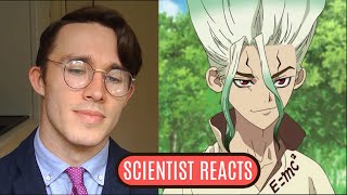 Scientist REACTS to Dr Stone [upl. by Neils]