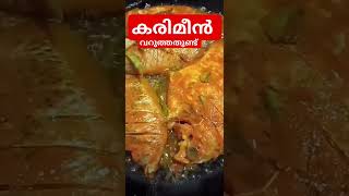 Karimeen കരിമീൻ 🥰 [upl. by Jill]