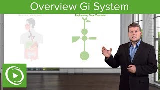 Overview Gastrointestinal System – Physiology  Lecturio [upl. by Pollak]