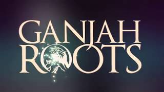 GanJah Roots  Ojos de colores Official Audio [upl. by Dicky]