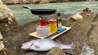 Creek Side TROUT CATCH and COOK [upl. by Juline]