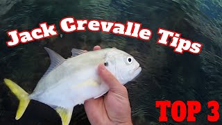 Jack Crevalle Fishing How To Catch Jack Fish From The Surf Surf amp Jetty Fishing For Jack Crevalle [upl. by Anisirhc]