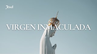 Virgen Imaculada Lyric Video [upl. by Arocat]