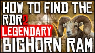 HOW TO FIND THE LEGENDARY BIGHORN RAM AND GET A PERFECT HIDE  RED DEAD REDEMPTION 2  LOCATION [upl. by Collette]