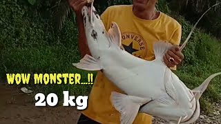 Wow Mancing baung terbesar  Big Monster fish catch 20 kg [upl. by Narak]