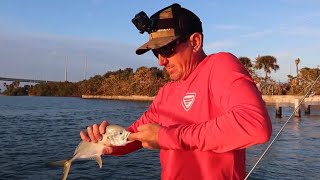 JACK CREVALLE  Catch Clean Cook [upl. by Toth]