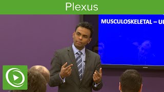 Plexus Structure amp Overview – MRCS  Lecturio [upl. by Eladnwahs]