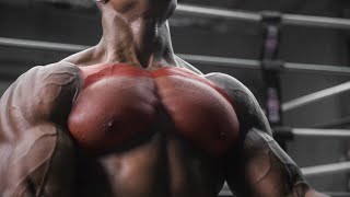 5 EXERCISES TO BUILD A BIG UPPER CHEST  ADD THESE TO YOUR ROUTINE [upl. by Ace168]