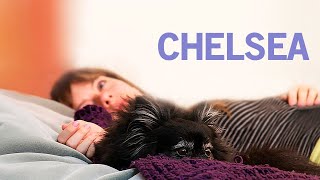 Chelsea  POLSKI LEKTOR  Darmowy Film Fabularny  Cały Film  Polish Voiceover  Dramat [upl. by Reggi]