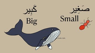 Simple opposite words in Arabic for kids and beginners Learn new words and build vocabulary [upl. by Karita]