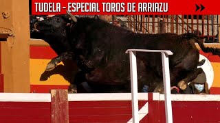 ESPECTACULARES TOROS DE ARRIAZU SALTANDO LA BARRERA y ACERCÁNDOSE A LA GRADA  TUDELA NAVARRA [upl. by Erie]