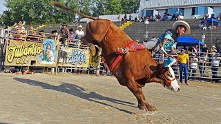 SON TOROS DIFICIL DE QUEDARLES Los Destructores de Memo Ocampo por primera vez en michigan [upl. by Aitropal]