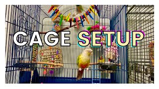 HOW TO SET UP YOUR PARROTS CAGE  Parrot Cage Setup [upl. by Navap]