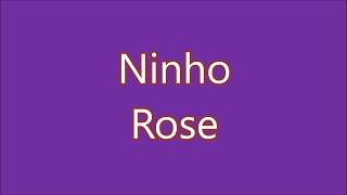 Ninho  Rose Lyrics Paroles [upl. by Brigham]