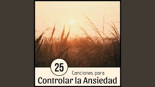 25 Canciones para Controlar la Ansiedad [upl. by Adolphus]