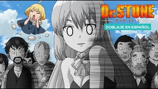 El divorcio más rápido de todos los tiempos l Dr STONE Doblaje en español [upl. by Alilahk966]