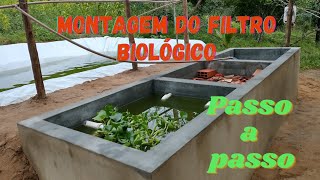 Como Montar Filtro Biológico Para Tanque de Peixes [upl. by Wesley]