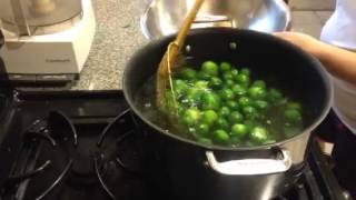 How to Blanch and Freeze Brussel Sprouts [upl. by Chaille400]